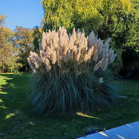 Apartman Le Mabileau Saumur
